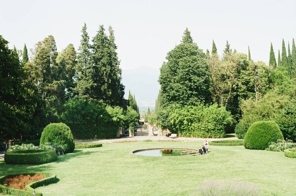 summer yard with trees, 35mm analog film photo, Georgia, 