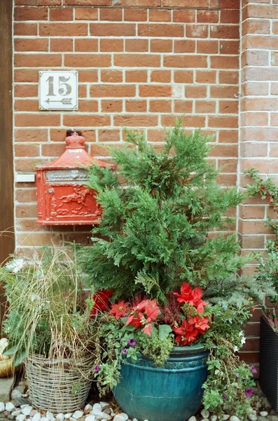Hermosa Pared Ladrillo Rojo Planta Verde Buzón Rojo Alemania —  Fotos de Stock