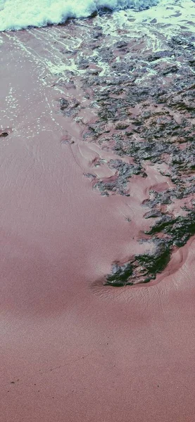 Fondo Para Pantalla Móvil Fondo Pantalla Playa Móvil — Foto de Stock