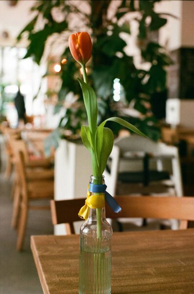 Tulip Flower Vase Ukrainian Flag Ribbon Film Photo Stock Photo