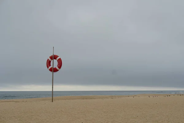 Keselamatan Marine Life Cincin Merah Pantai Berpasir Portugal Langit Abu — Stok Foto