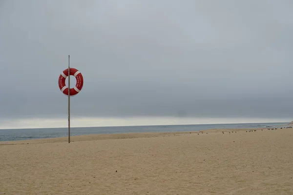 Veiligheid Marine Life Rode Ring Zandstrand Portugal Bewolkte Grijze Lucht — Stockfoto