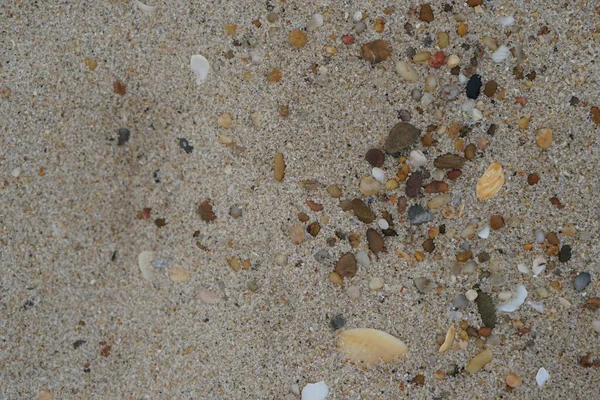 Обои Песчаных Пляжей Коричневый Фон Копирования — стоковое фото