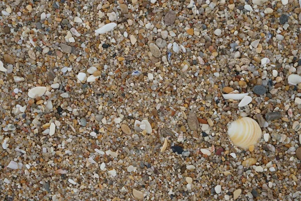 砂浜の壁紙コピースペースの背景 — ストック写真
