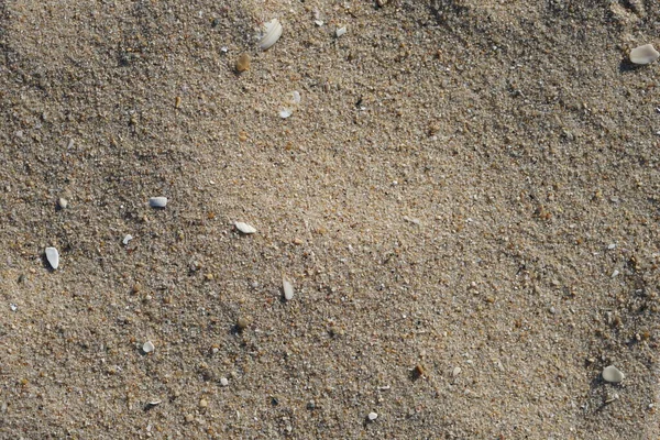 Carta Parati Spiaggia Sabbiosa Copiare Sfondo Spazio — Foto Stock