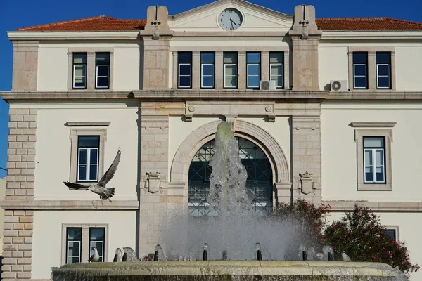 Figueira Foz Fuente Arquitectura Ciudad Edificio Con Reloj Gaviotas —  Fotos de Stock