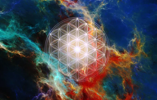 The flower of life against the background of the universe. Fractals and flowers.