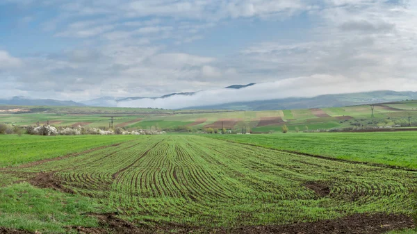 Campos Arados Agrícolas Sobre Telón Fondo Una Cordillera Cielo Azul — Foto de Stock