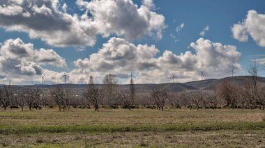 Tepenin tepesinde yel değirmenleri olan kırsal alan. Meyve bahçeleri ve tarlalar ön planda..