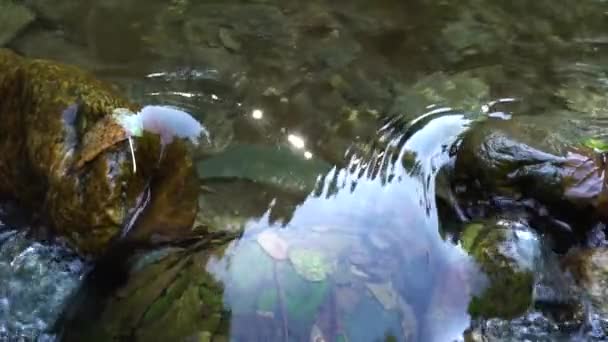 Вокруг Камня Течет Чистая Вода Горной Реки Медленное Движение — стоковое видео
