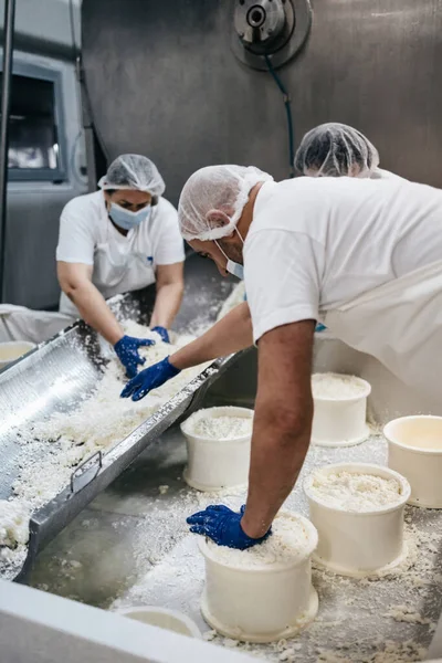 Manual Workers Cheese Milk Dairy Production Factory Traditional European Handmade — Stock Photo, Image