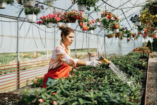 Feliz Positiva Jovem Mulher Adulta Trabalhando Estufa Desfrutando Belas Flores — Fotografia de Stock