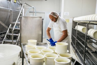 Peynir ve süt süt üretim fabrikasında manuel işçi. Geleneksel Avrupa el yapımı sağlıklı gıda üretimi.