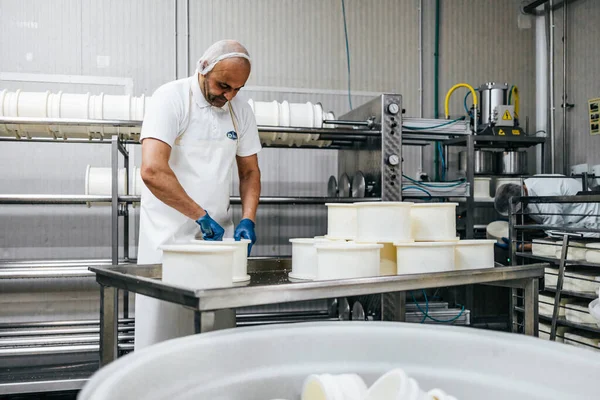 Manuell Arbetare Ost Och Mjölkproduktionsanläggningen Traditionell Europeisk Handgjord Hälsosam Livsmedelstillverkning — Stockfoto