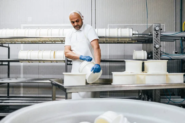 Manuell Arbetare Ost Och Mjölkproduktionsanläggningen Traditionell Europeisk Handgjord Hälsosam Livsmedelstillverkning — Stockfoto