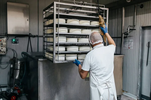 Εργάτης Στο Εργοστάσιο Παραγωγής Τυριών Και Γαλακτοκομικών Προϊόντων Παραδοσιακή Ευρωπαϊκή — Φωτογραφία Αρχείου