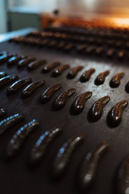 Tatlı yiyecek ve kurabiye üretimi için büyük bir fabrika hattı. Endüstriyel çikolatalı muz parlatıcısının yakın plan çekimleri.