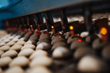 Tatlı yiyecek ve kurabiye üretimi için büyük bir fabrika hattı. Endüstriyel üretim sürecinin yakın çekimleri. Lazer sensörlü robot otomatik kalite kontrolü.