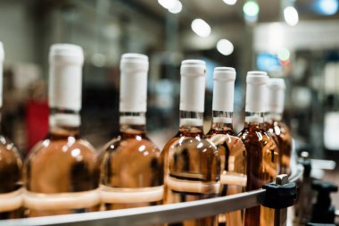 Sanayi şarabı şişeleme fabrikası teması. İçki şişeleme ve paketleme için modern sanayi üretim hattı. 