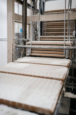 Tatlı yiyecek ve kurabiye üretimi için büyük bir fabrika hattı. Endüstriyel üretim sürecinin yakın çekim görüntüleri.