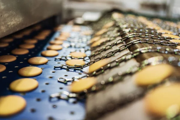 Huge Factory Line Sweet Food Cookies Production Close Shots Industrial — Stock Photo, Image