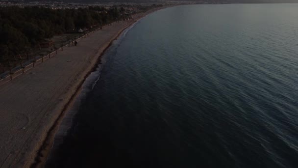 Aerial View Empty Beach Dead Mosses Collected Shore Evening Time — Stock videók