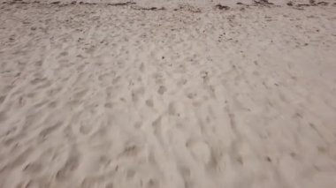 İnsansız hava aracı kumsaldan ölü yosunlarla geliyor ve güzel mavi denizin tepesine yükseliyor.