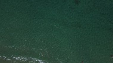 Black Recife ve Yüzen İnsanlarla Güzel Tropik Deniz Manzarası