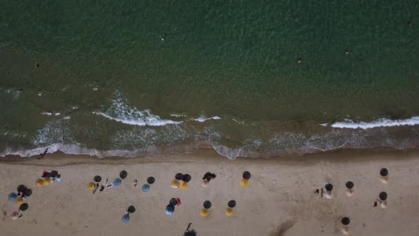 Top View Beach Swimming People Relaxing Beach Umbrellas Dalam Bahasa — Stok Video