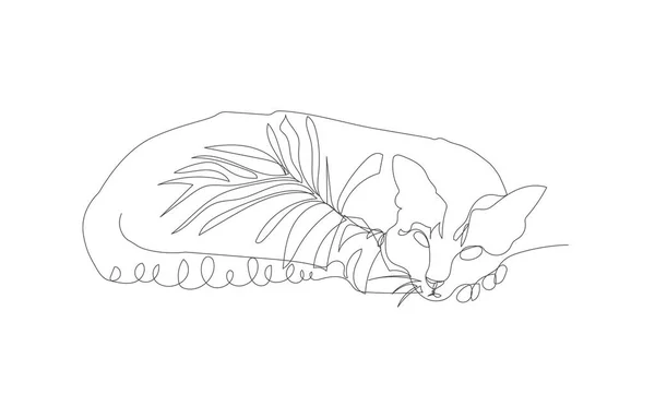 Kontinuální Kresba Cat Sleeps Floor Vektorová Ilustrace — Stockový vektor