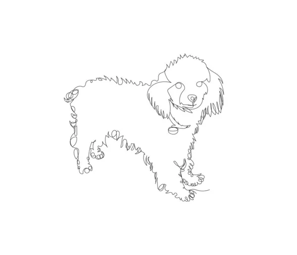 Dessin Linéaire Continu Chien Caniche Illustration Vectorielle — Image vectorielle