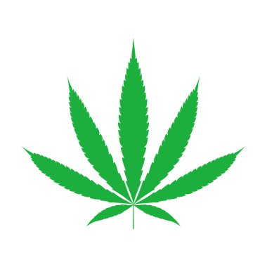 Cannabis sativa leaf on white background. Vector illustration