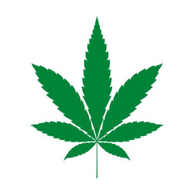 Cannabis indica leaf on white background. Vector illustration