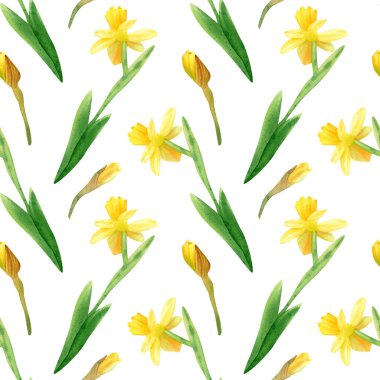Kusursuz nergis deseni. Sarı narsisli çiçekli suluboya arkaplan, yeşil yapraklı ve tomurcuklu. Yaz çiçeği süsü.