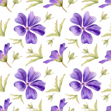 Kusursuz mor çiçek deseni. Mor Cranesbill, Geranium himalayense, Geranium pratense, Meadow Cranesbill, Johnson 's Blue ve leaves