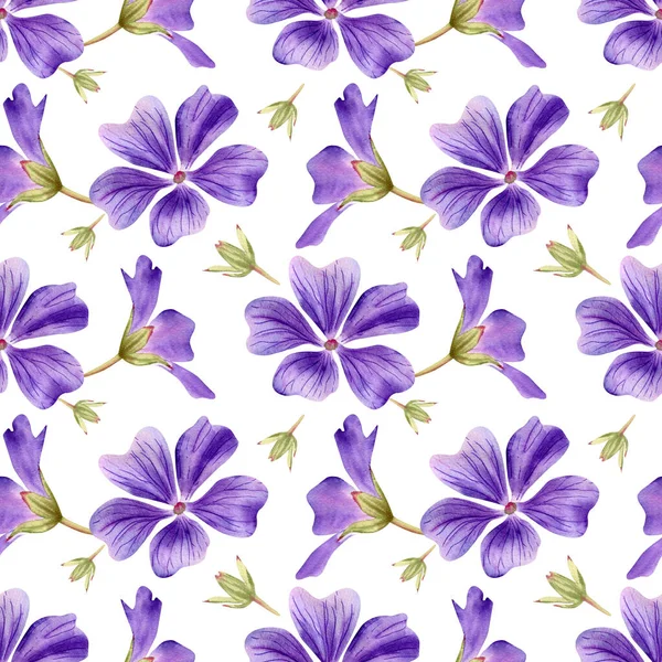 Seamless Geranium Violet Flowers Pattern Watercolor Floral Background Purple Flower — Stock Photo, Image