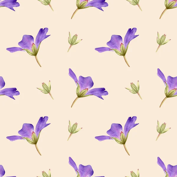 Цветочный Узор Герань Акварель Цветочный Фон Фиолетовый Фиолетовый Цветок Бутон — стоковое фото