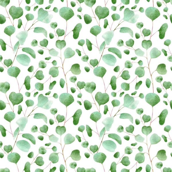 Seamless Eucalyptus Leaves Pattern Watercolor Floral Background Botanical Illustration Eucalyptus — Stock Photo, Image