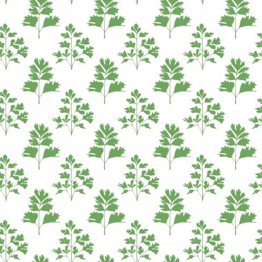 Kusursuz maydanoz deseni. Baharatlı botanik geçmişi, tekstil için yeşillikler. Mutfak dekoru