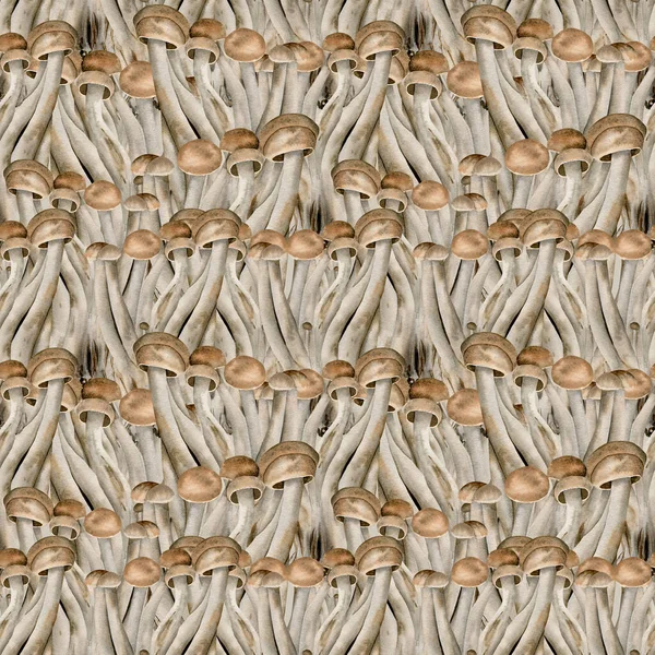 Seamless Beech Mushrooms Pattern Watercolor Background Edible Boletus Textile Fabric — Stock Photo, Image