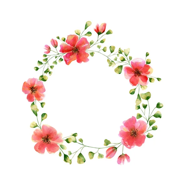 Aquarellrosen Ovaler Rahmen Botanische Illustration Mit Roten Blüten Und Grünen — Stockfoto