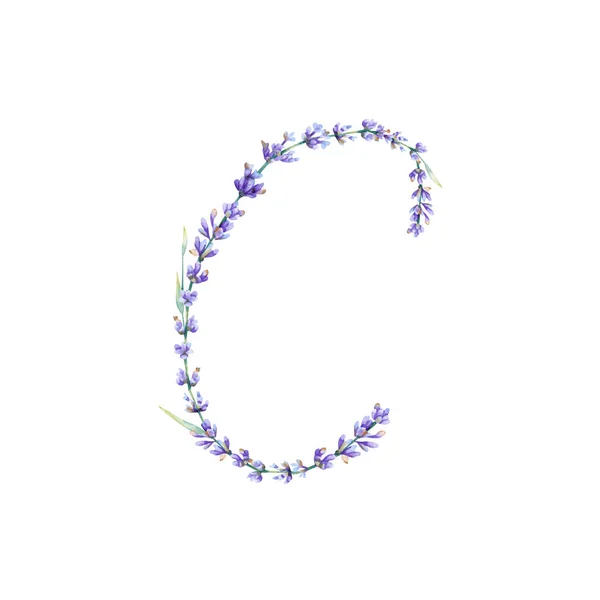 Litera Kwiatowa Akwarela Ręcznie Rysowane Litera Alfabetu Botaniczną Ilustracją Kwiatów — Zdjęcie stockowe