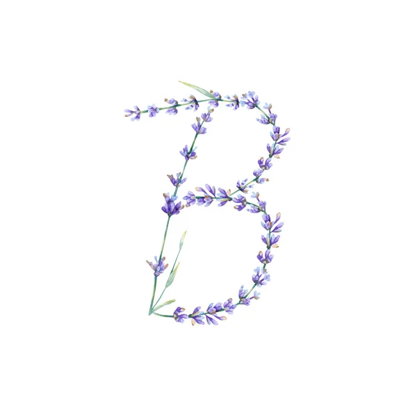 Carta Floral Letra Alfabeto Desenhada Mão Aquarela Com Ilustração Botânica — Fotografia de Stock