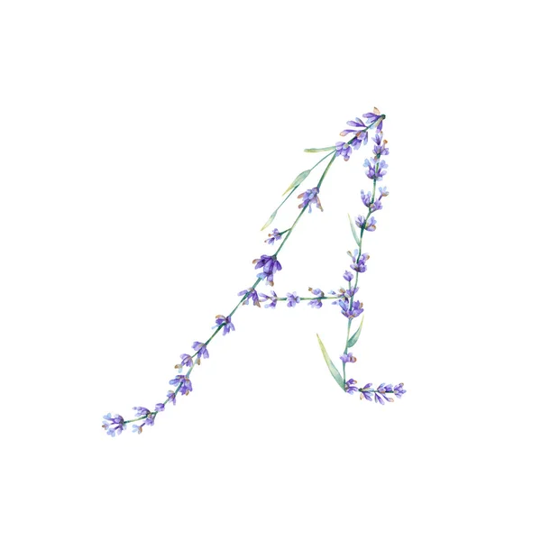 Carta Floral Letra Alfabeto Desenhada Mão Aquarela Com Ilustração Botânica — Fotografia de Stock