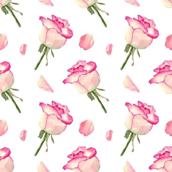 Seamless Pink Roses Pattern Watercolor Background Delicate Rose Flower Petal — Stock Photo, Image