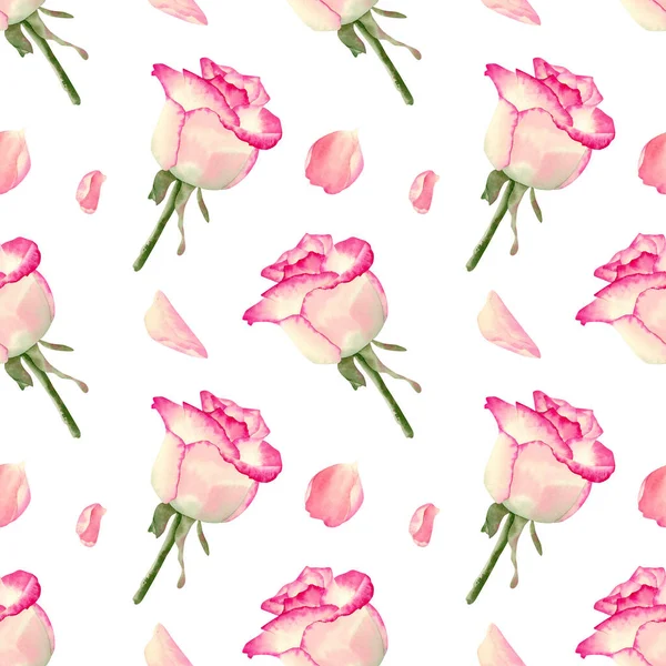 Seamless pink roses pattern. Watercolor background with delicate rose flower and petal. Botanical illustration for fabric, wedding decor, souvenirs