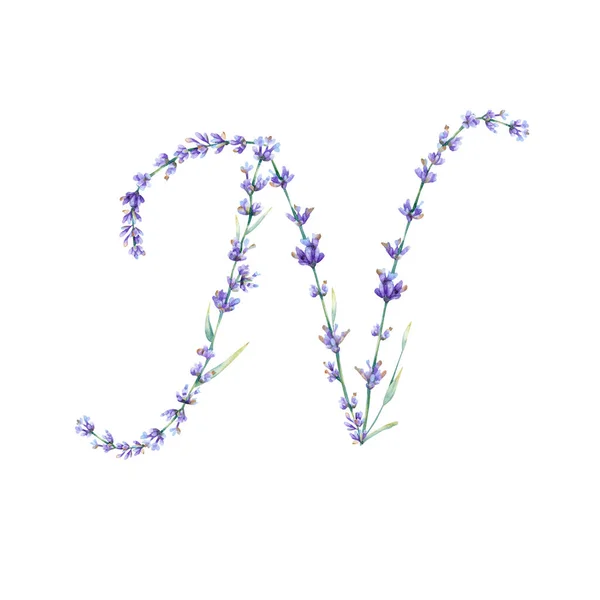 Viráglevél Akvarell Kézzel Rajzolt Ábécé Levél Botanikai Illusztrációja Levendula Virágok — Stock Fotó
