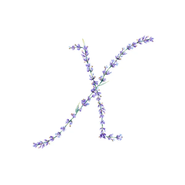 Carta Floral Mão Aquarela Letra Alfabeto Desenhado Com Ilustração Botânica — Fotografia de Stock