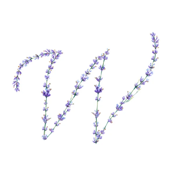 Viráglevél Akvarell Kézzel Rajzolt Ábécé Levél Botanikai Illusztrációja Levendula Virágok — Stock Fotó