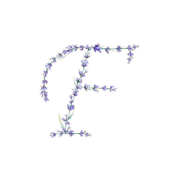 Litera Kwiatowa Ręcznie Rysowana Litera Alfabetu Botaniczną Ilustracją Kwiatów Lawendy — Zdjęcie stockowe